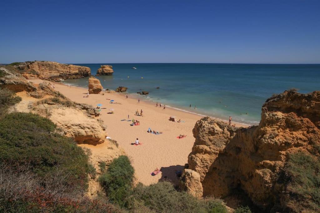 Superbe Paradis Dans Les Jardins De La Marina อัลบูเฟรา ภายนอก รูปภาพ